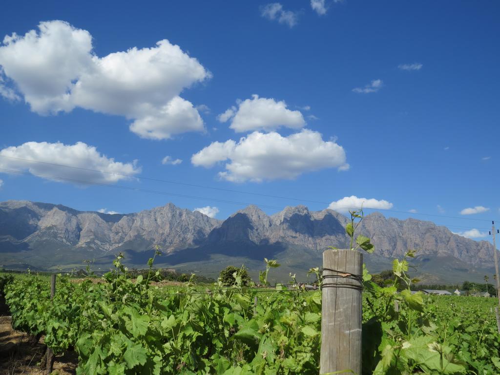 Seven Oaks Vineyard Cottages Wolseley المظهر الخارجي الصورة