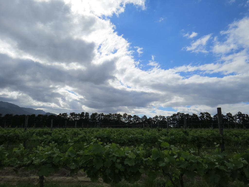 Seven Oaks Vineyard Cottages Wolseley المظهر الخارجي الصورة